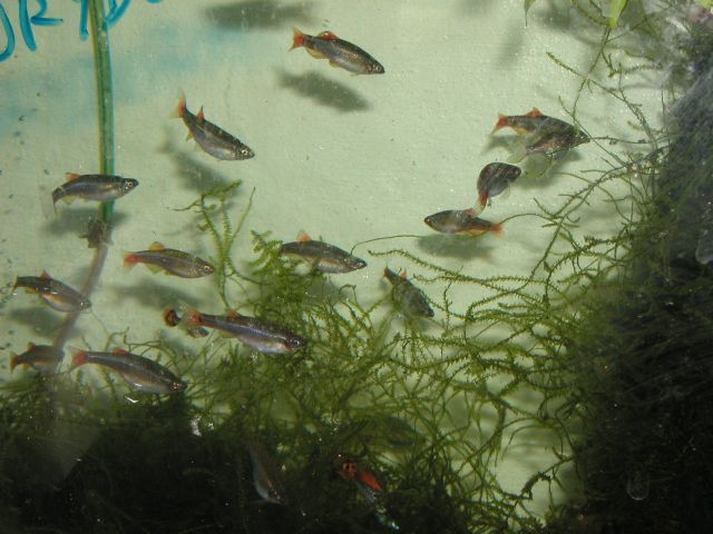 P5130022.JPG